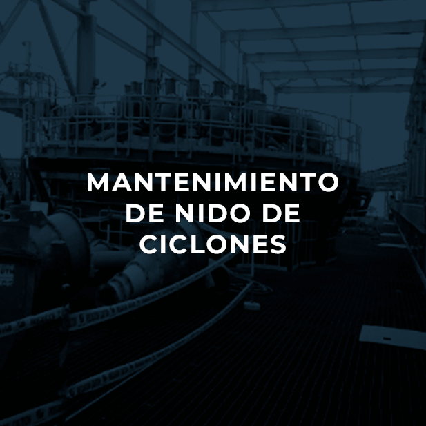 Mantenimiento de Nido de Ciclones