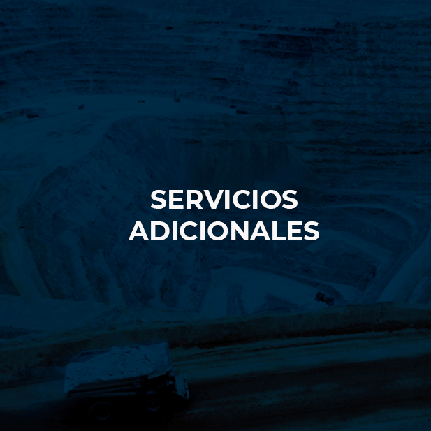 Servicios Adicionales