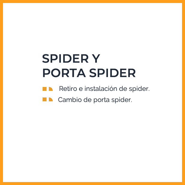 Spider y Porta Spider